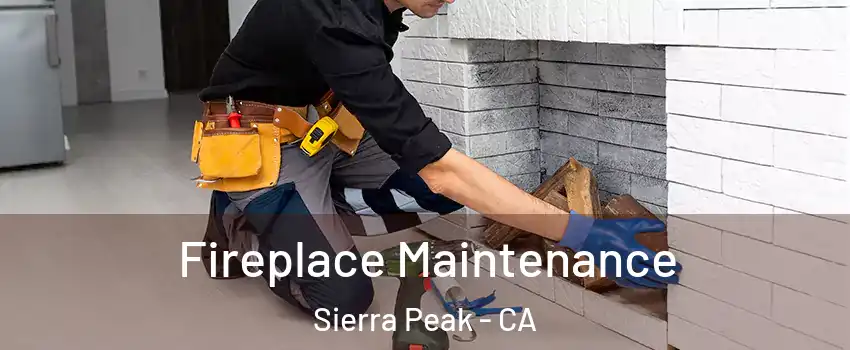 Fireplace Maintenance Sierra Peak - CA