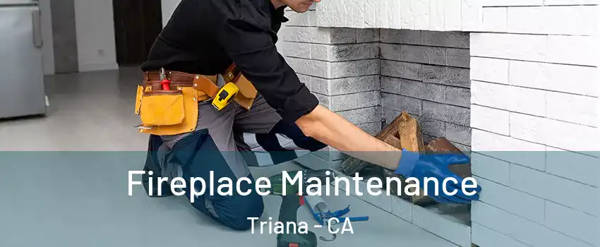 Fireplace Maintenance Triana - CA