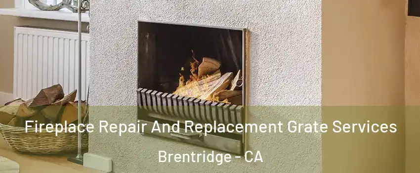 Fireplace Repair And Replacement Grate Services Brentridge - CA