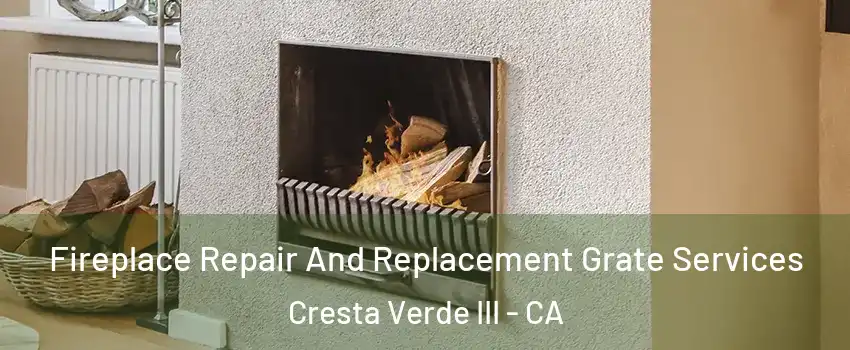 Fireplace Repair And Replacement Grate Services Cresta Verde III - CA