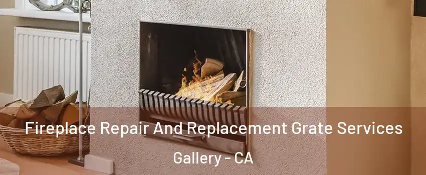 Fireplace Repair And Replacement Grate Services Gallery - CA