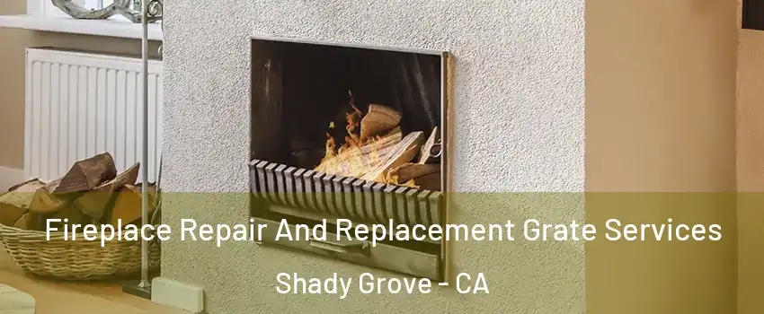 Fireplace Repair And Replacement Grate Services Shady Grove - CA