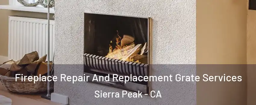 Fireplace Repair And Replacement Grate Services Sierra Peak - CA