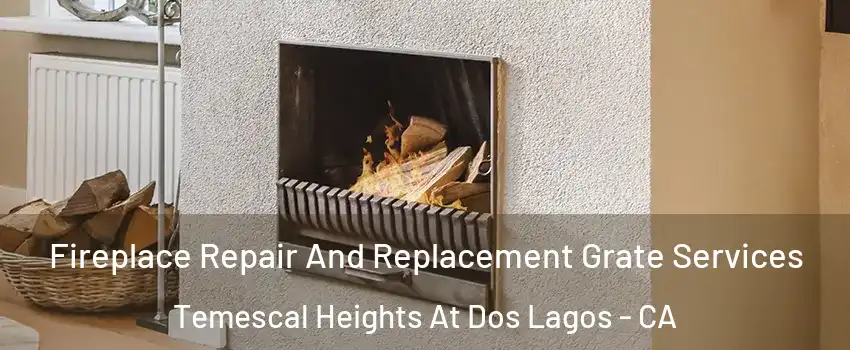 Fireplace Repair And Replacement Grate Services Temescal Heights At Dos Lagos - CA