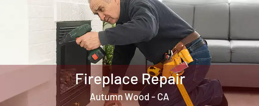 Fireplace Repair Autumn Wood - CA