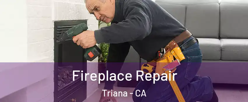 Fireplace Repair Triana - CA