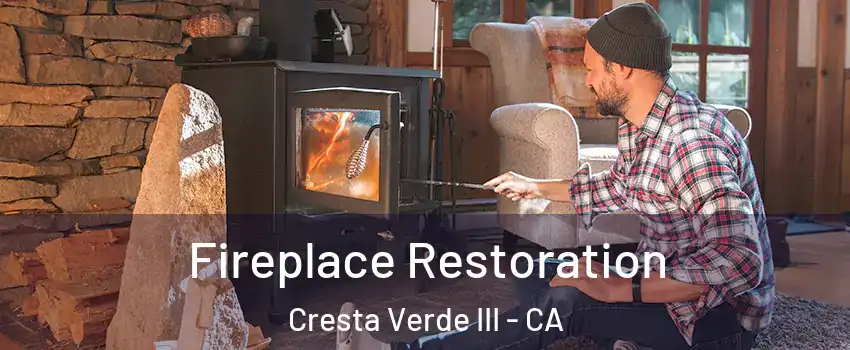 Fireplace Restoration Cresta Verde III - CA