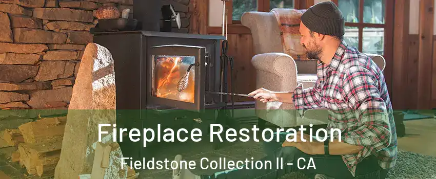 Fireplace Restoration Fieldstone Collection II - CA