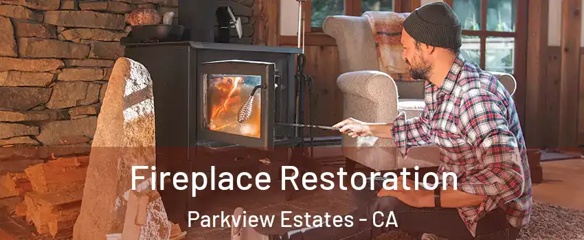 Fireplace Restoration Parkview Estates - CA