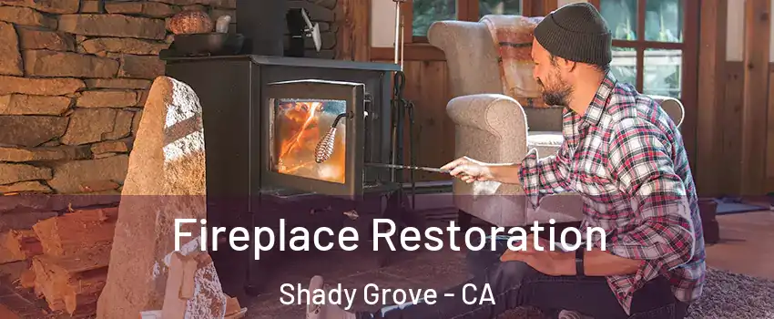 Fireplace Restoration Shady Grove - CA