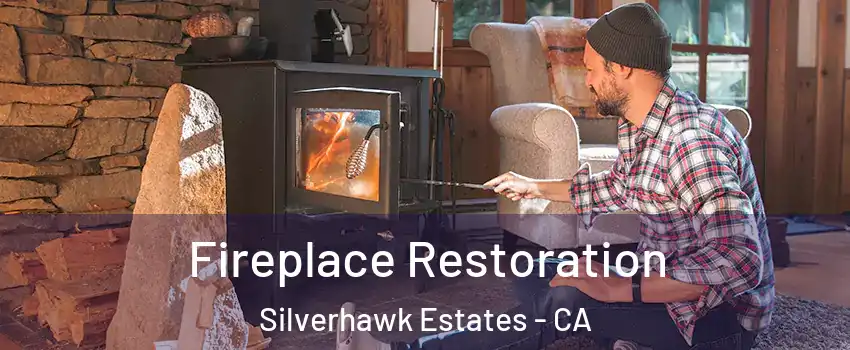 Fireplace Restoration Silverhawk Estates - CA