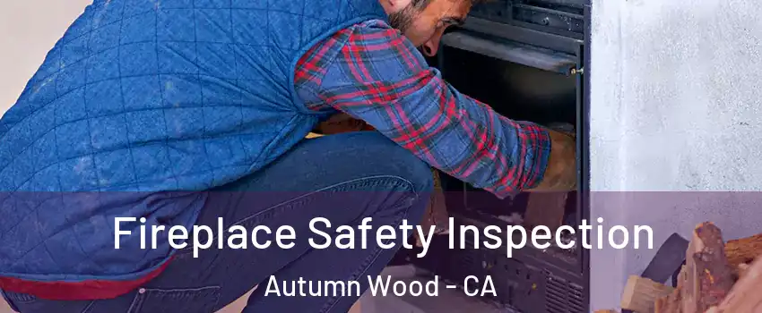 Fireplace Safety Inspection Autumn Wood - CA