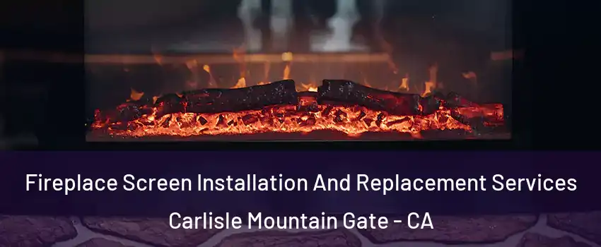 Fireplace Screen Installation And Replacement Services Carlisle Mountain Gate - CA