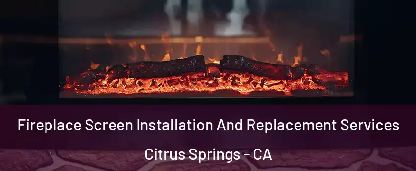 Fireplace Screen Installation And Replacement Services Citrus Springs - CA