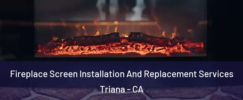 Fireplace Screen Installation And Replacement Services Triana - CA