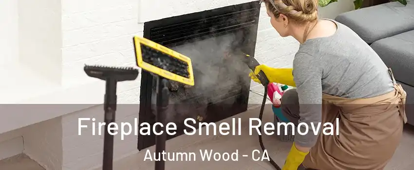 Fireplace Smell Removal Autumn Wood - CA