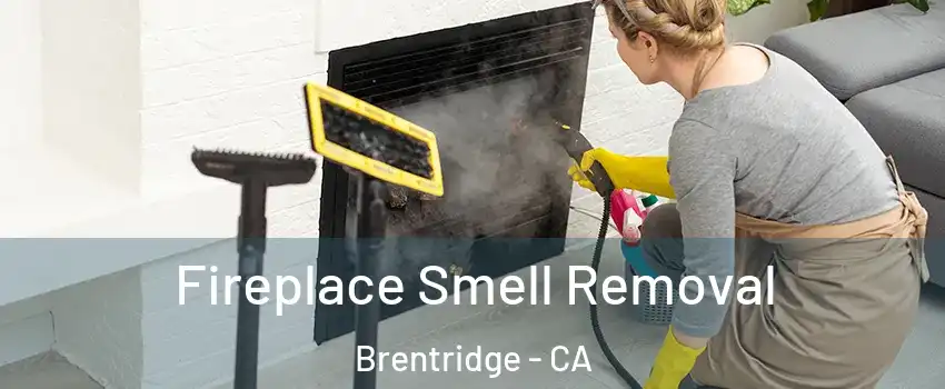 Fireplace Smell Removal Brentridge - CA