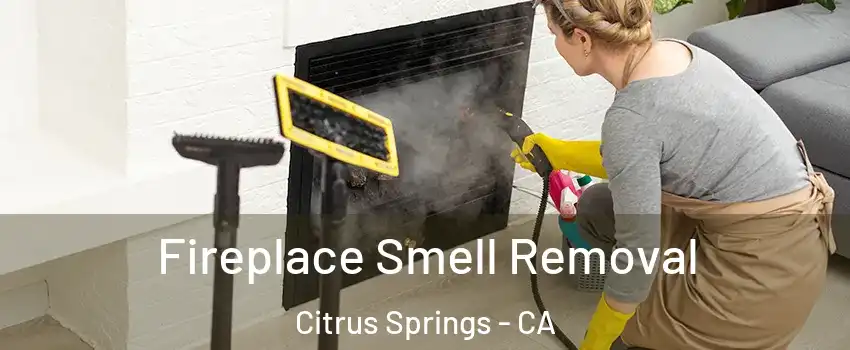 Fireplace Smell Removal Citrus Springs - CA