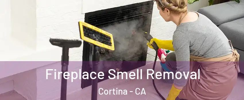 Fireplace Smell Removal Cortina - CA