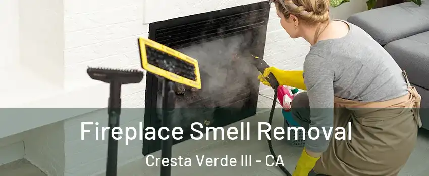 Fireplace Smell Removal Cresta Verde III - CA