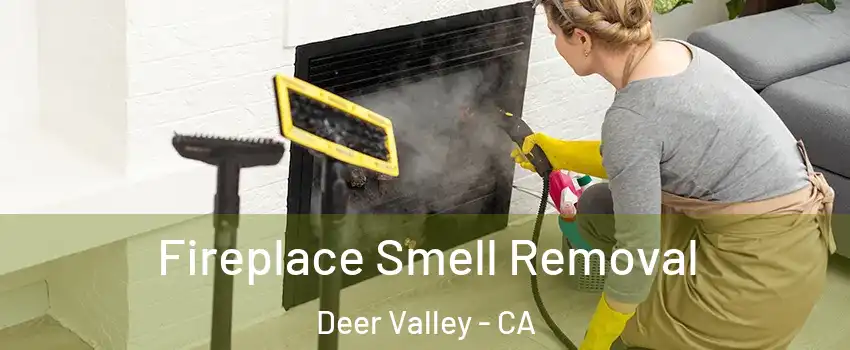 Fireplace Smell Removal Deer Valley - CA