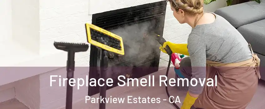 Fireplace Smell Removal Parkview Estates - CA