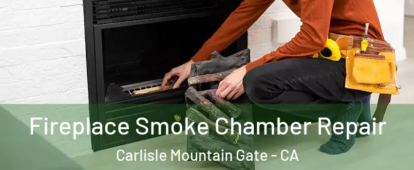 Fireplace Smoke Chamber Repair Carlisle Mountain Gate - CA