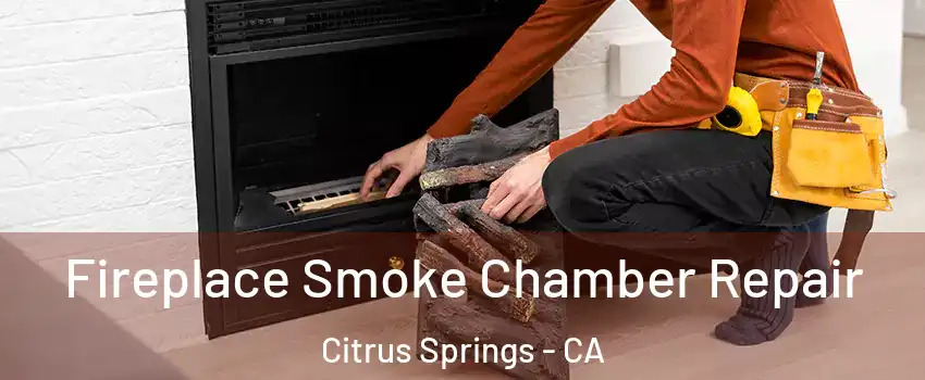 Fireplace Smoke Chamber Repair Citrus Springs - CA