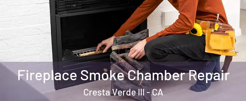 Fireplace Smoke Chamber Repair Cresta Verde III - CA