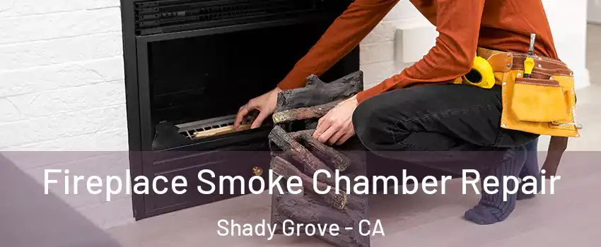 Fireplace Smoke Chamber Repair Shady Grove - CA