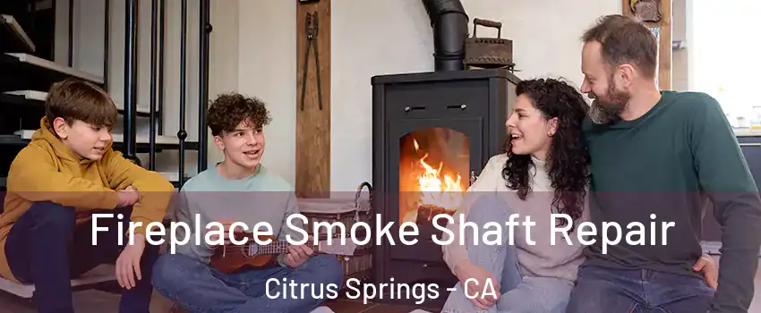 Fireplace Smoke Shaft Repair Citrus Springs - CA