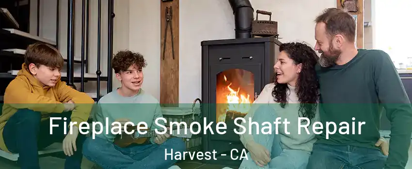 Fireplace Smoke Shaft Repair Harvest - CA