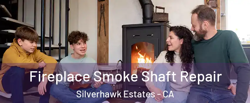 Fireplace Smoke Shaft Repair Silverhawk Estates - CA