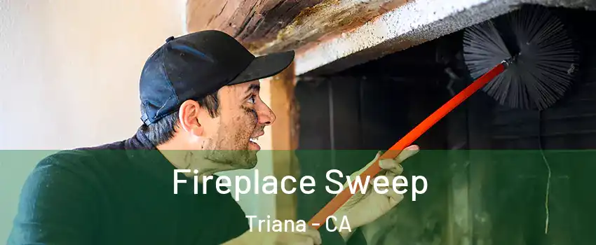 Fireplace Sweep Triana - CA