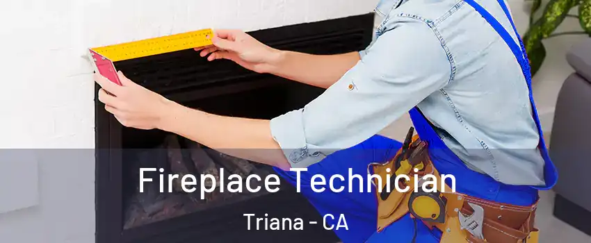 Fireplace Technician Triana - CA
