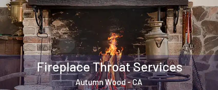 Fireplace Throat Services Autumn Wood - CA