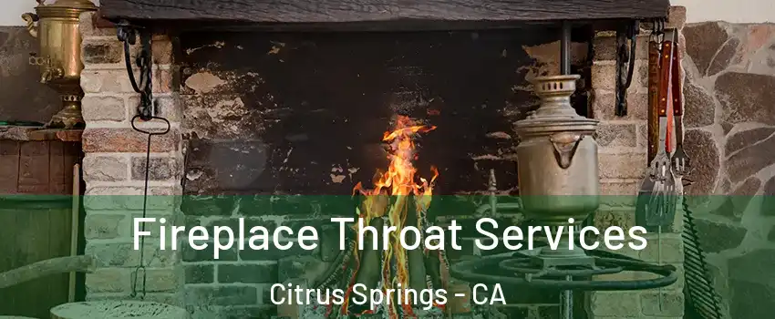Fireplace Throat Services Citrus Springs - CA