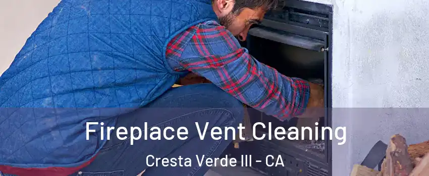 Fireplace Vent Cleaning Cresta Verde III - CA