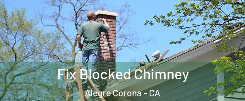 Fix Blocked Chimney Alegre Corona - CA