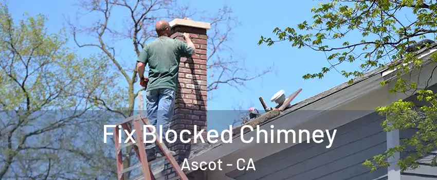 Fix Blocked Chimney Ascot - CA