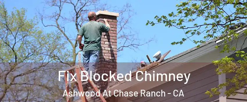 Fix Blocked Chimney Ashwood At Chase Ranch - CA