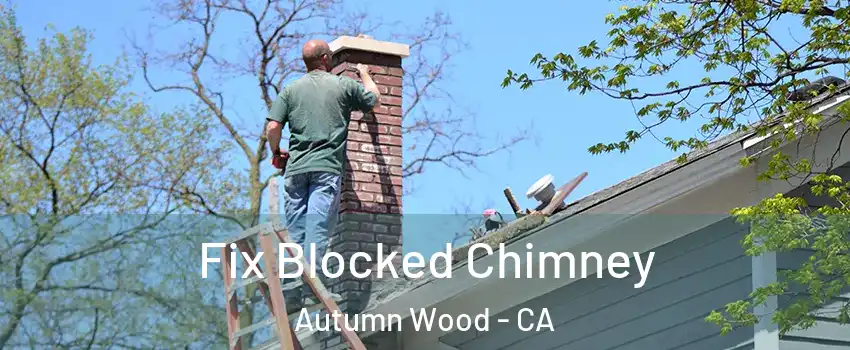 Fix Blocked Chimney Autumn Wood - CA