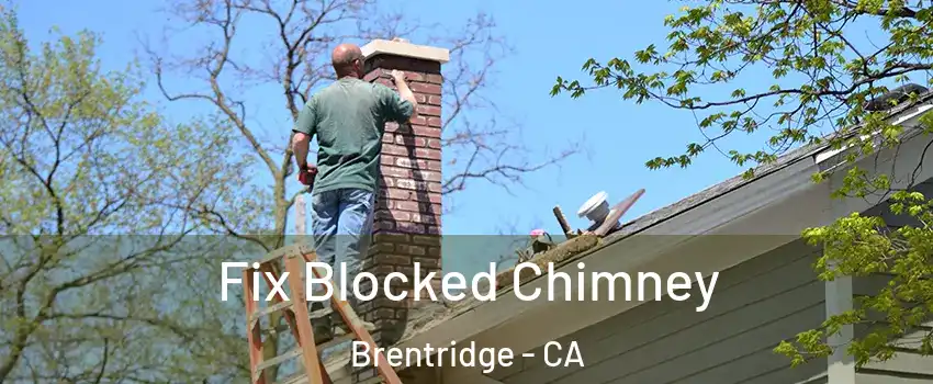 Fix Blocked Chimney Brentridge - CA