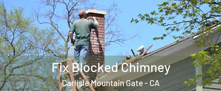 Fix Blocked Chimney Carlisle Mountain Gate - CA