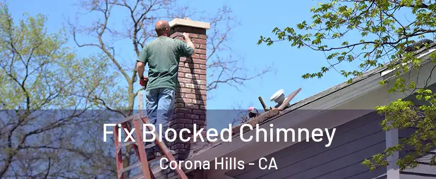 Fix Blocked Chimney Corona Hills - CA