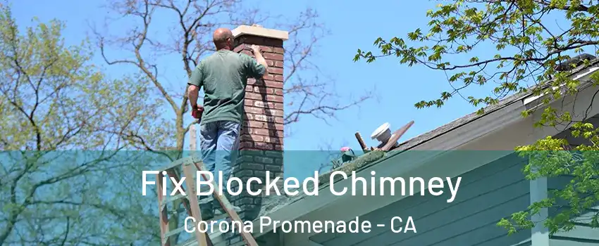 Fix Blocked Chimney Corona Promenade - CA