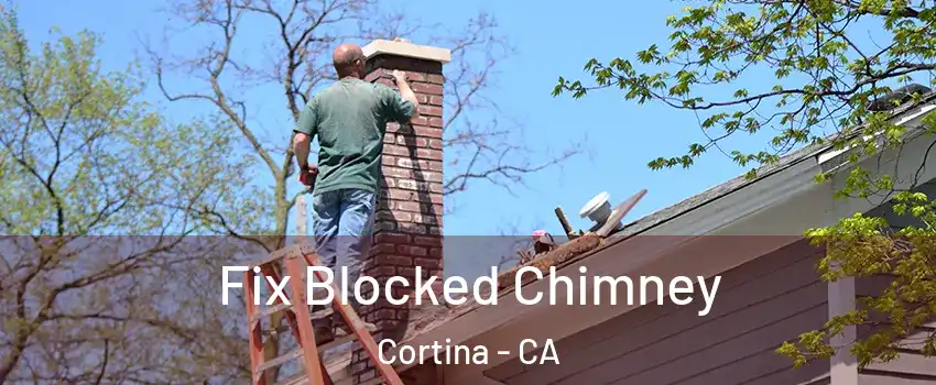 Fix Blocked Chimney Cortina - CA