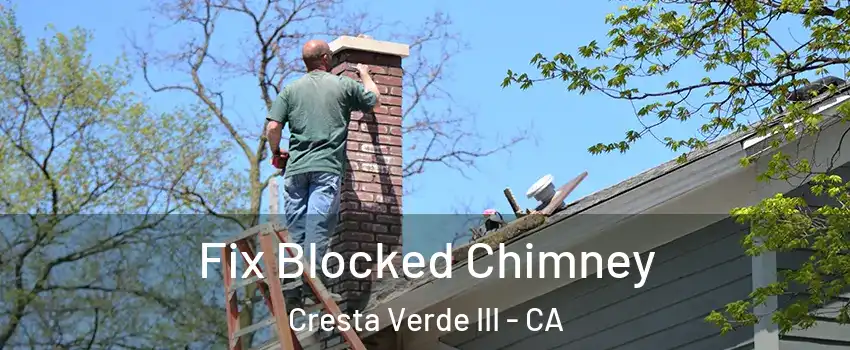 Fix Blocked Chimney Cresta Verde III - CA