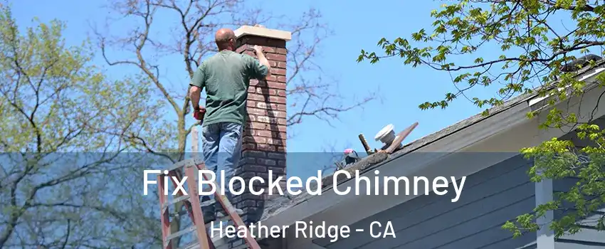 Fix Blocked Chimney Heather Ridge - CA