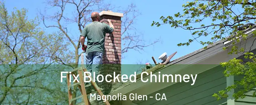 Fix Blocked Chimney Magnolia Glen - CA